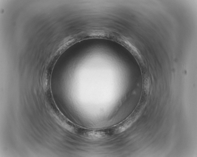 X0000087600261200705112335