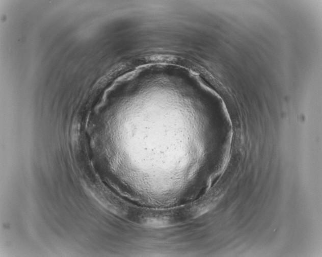 X0000087600263200705112335
