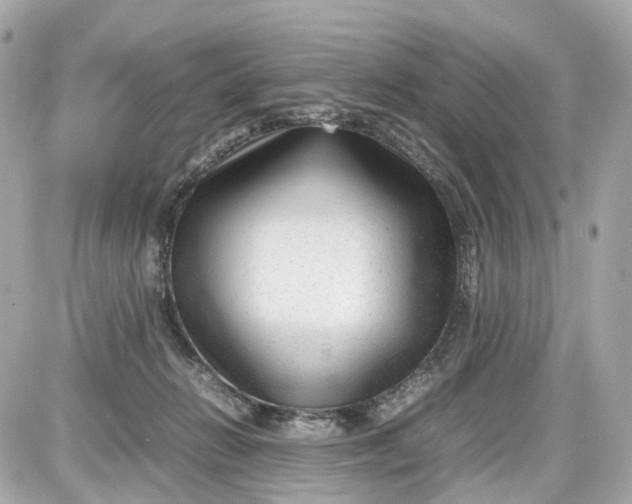 X0000087600270200705112336