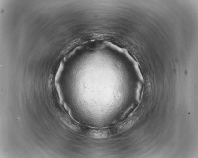 X0000087600275200705112336