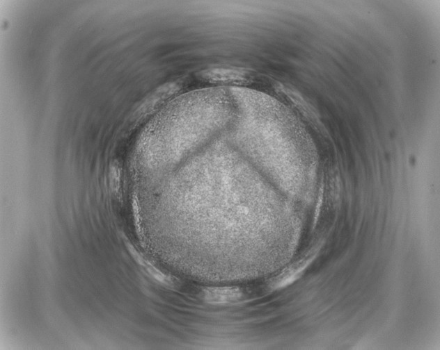 X0000087600281200705112336