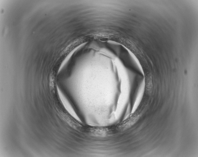 X0000087600282200705112336