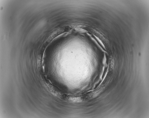 X0000087600283200705112336