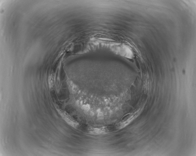 X0000087600285200705112336