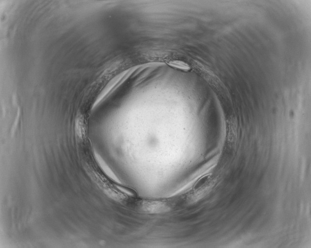 X0000087600287200705112336