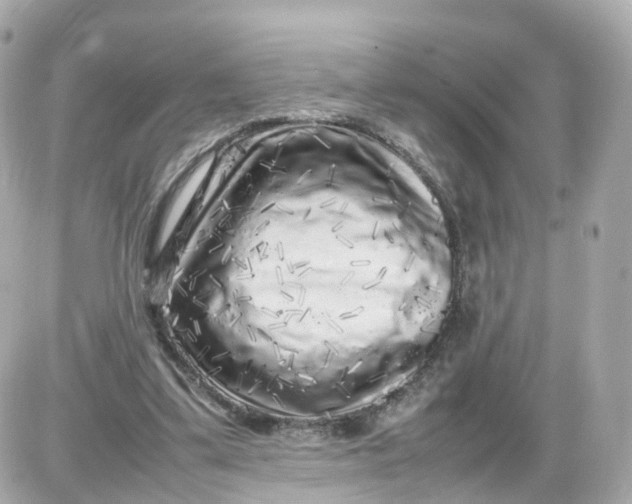 X0000087600299200705112335