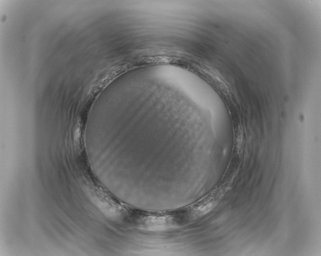 X0000087600314200705112335