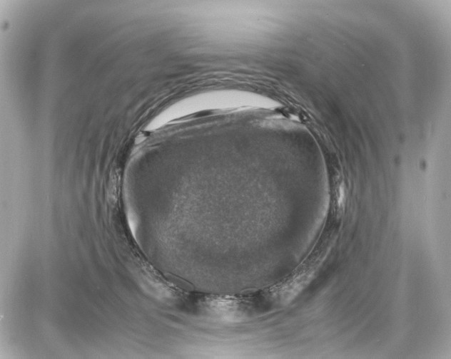 X0000087600325200705112335