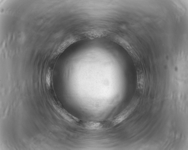 X0000087600334200705112334