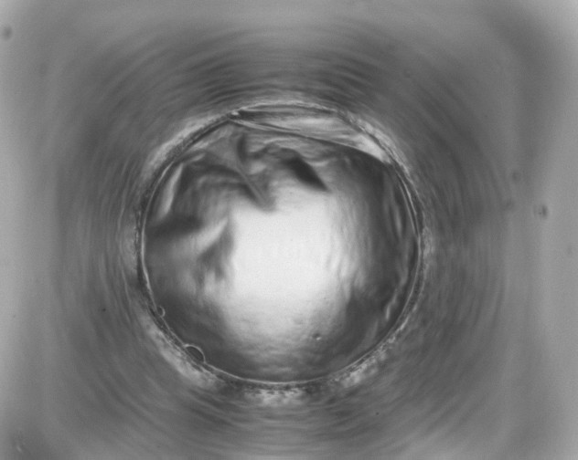 X0000087600345200705112334
