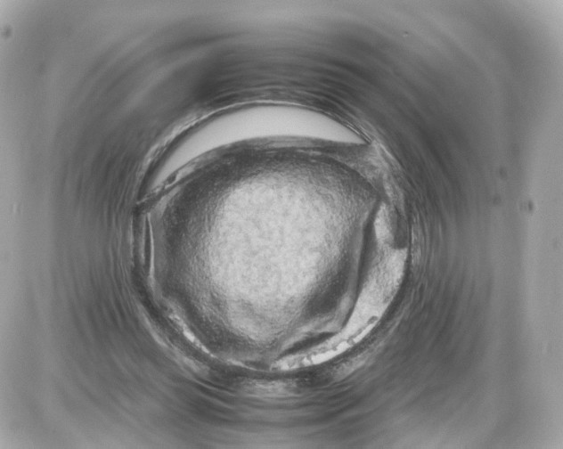 X0000087600349200705112334