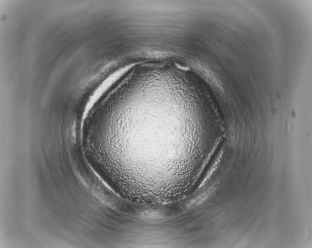 X0000087600358200705112334