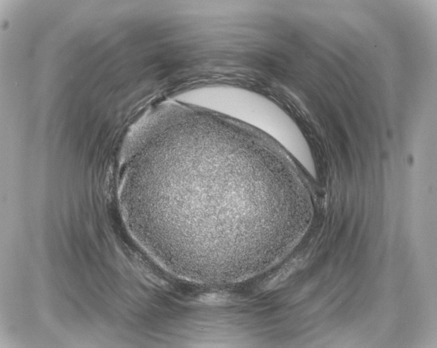 X0000087600364200705112334