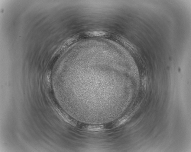 X0000087600373200705112334