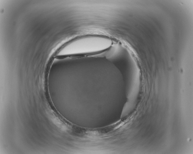 X0000087600391200705112333
