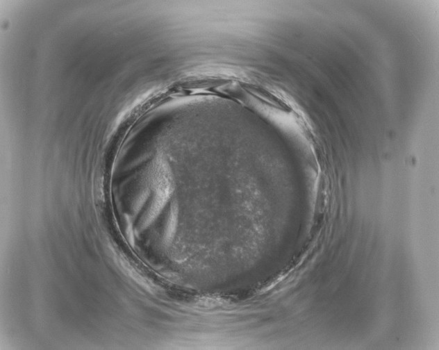 X0000087600399200705112333