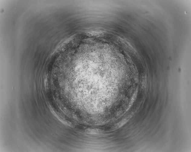 X0000087600408200705112333