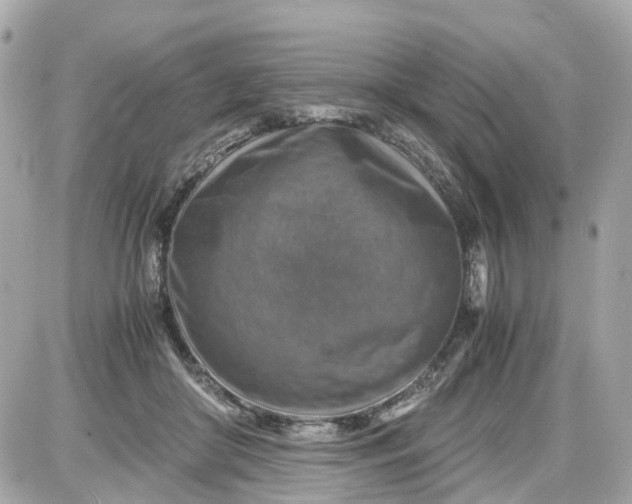X0000087600410200705112333