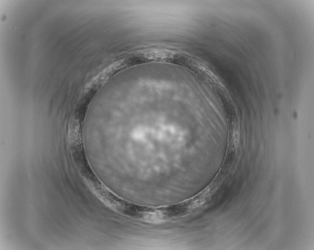 X0000087600411200705112333
