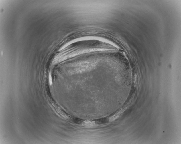 X0000087600413200705112333