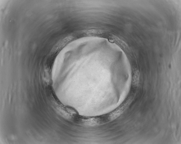 X0000087600430200705112333