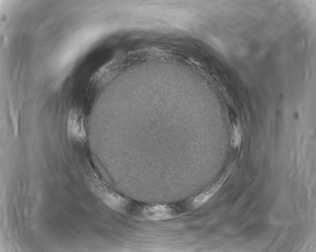 X0000087600431200705112333