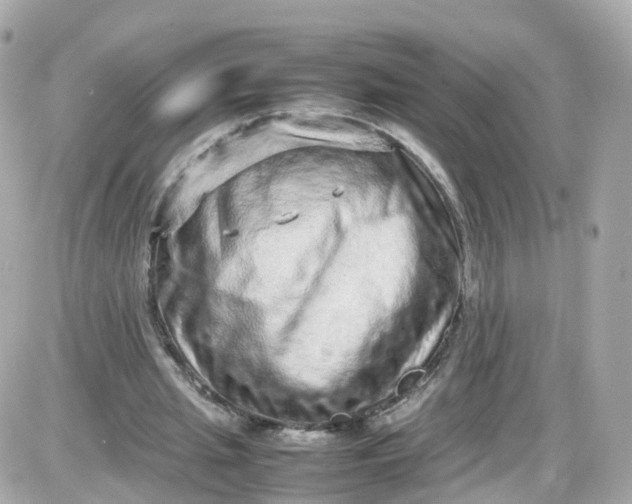 X0000087600437200705112332