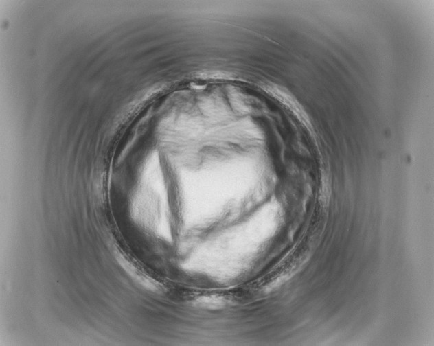 X0000087600441200705112332