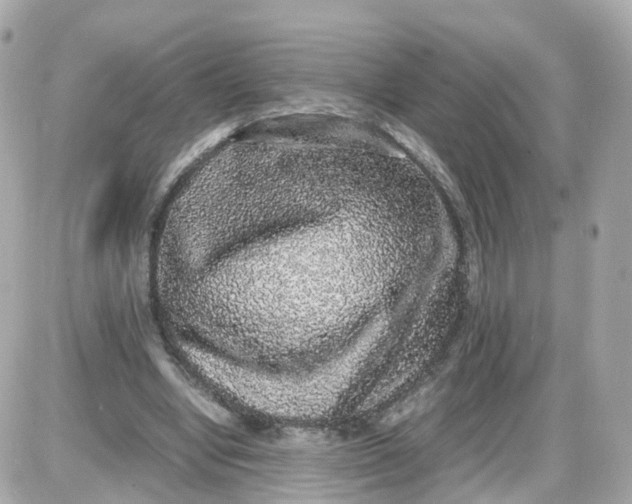 X0000087600442200705112332