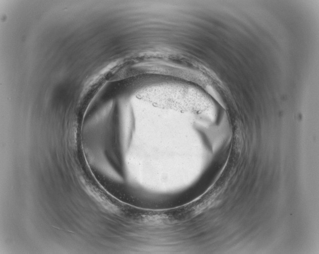 X0000087600446200705112332