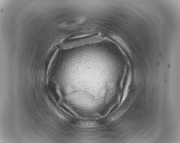 X0000087600449200705112332