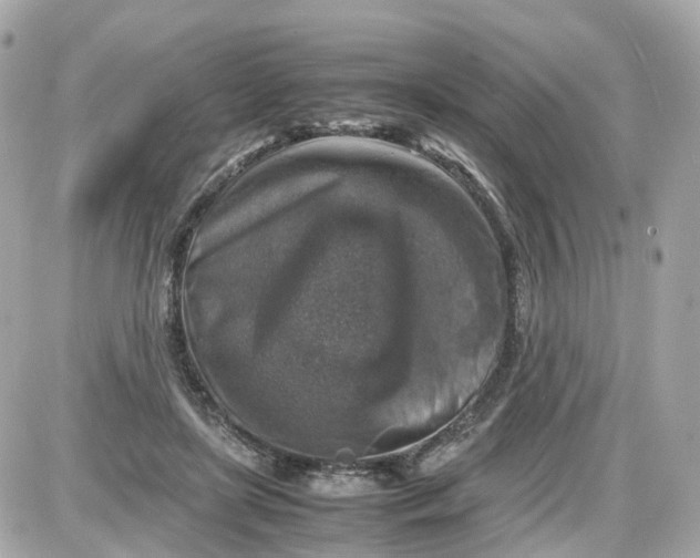 X0000087600451200705112332