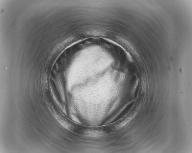 X0000087600453200705112332