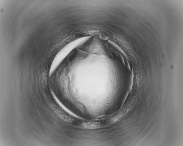 X0000087600461200705112332