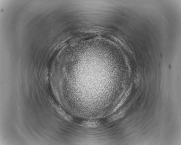 X0000087600466200705112333