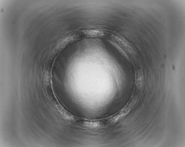 X0000087600469200705112333