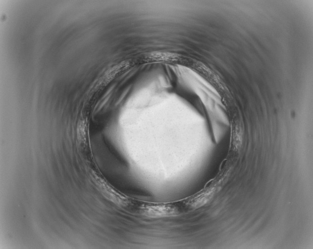 X0000087600473200705112333