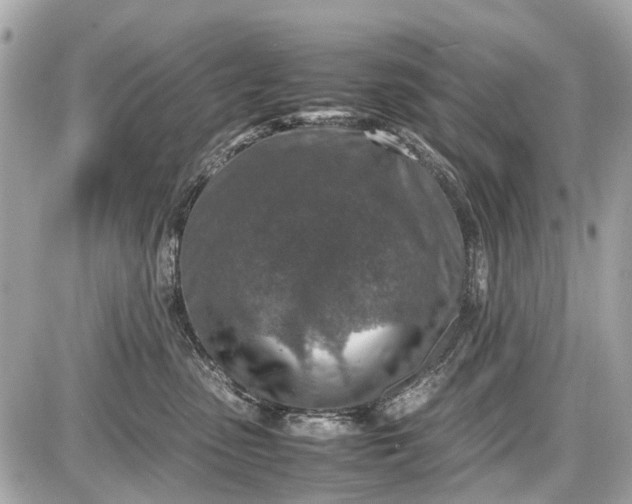 X0000087600475200705112333