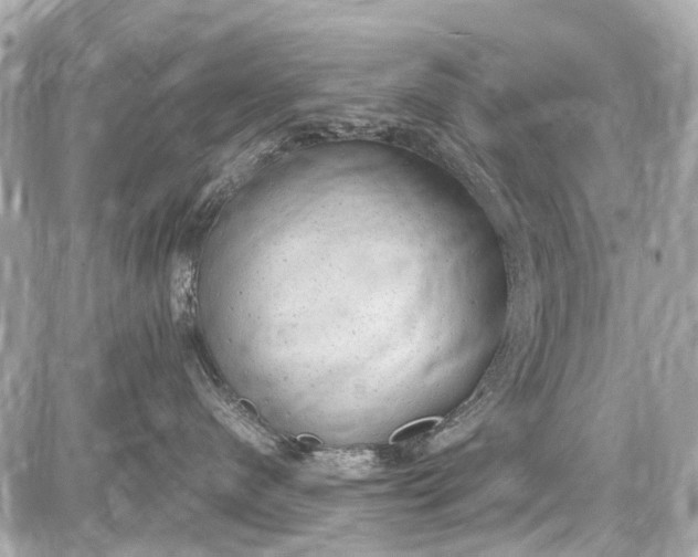 X0000087600480200705112333