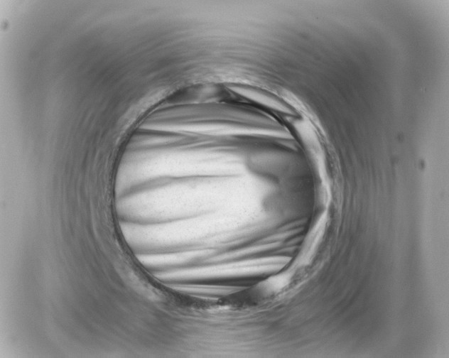 X0000087600481200705112332