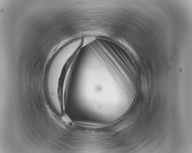 X0000087600486200705112332