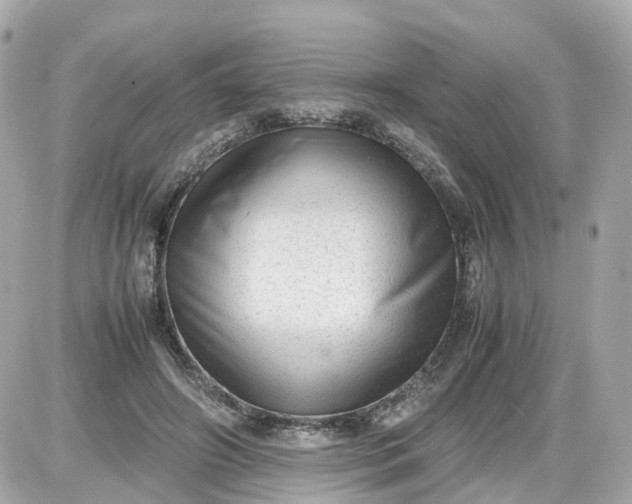 X0000087600498200705112332