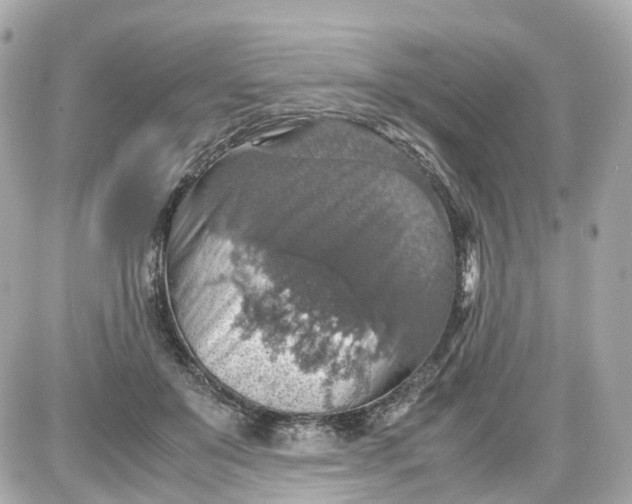 X0000087600503200705112332