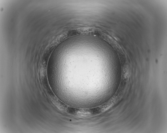 X0000087600515200705112331