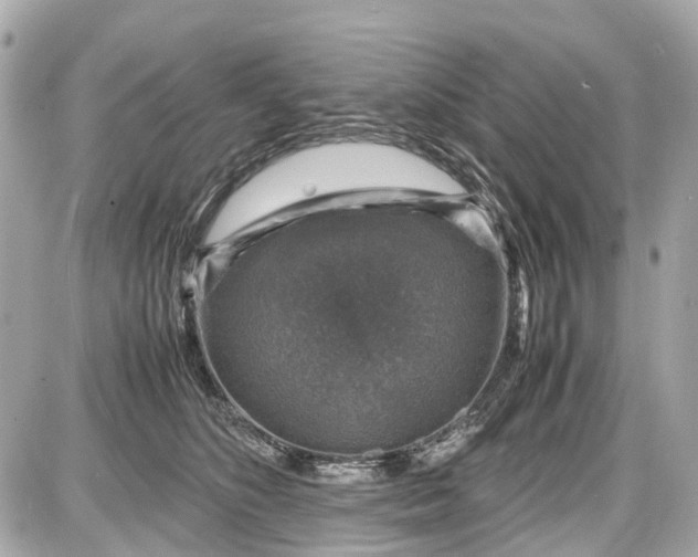 X0000087600516200705112331