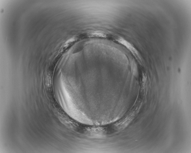 X0000087600517200705112331