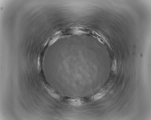 X0000087600524200705112331