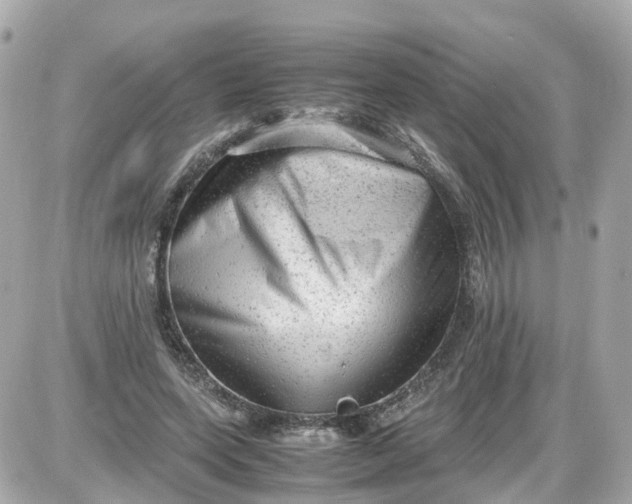 X0000087600543200705112331