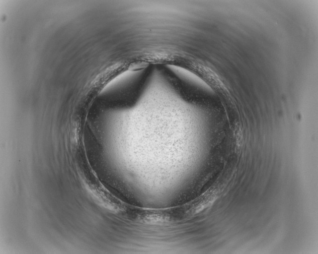 X0000087600546200705112331