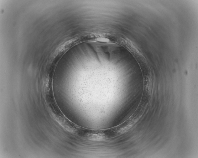 X0000087600548200705112331